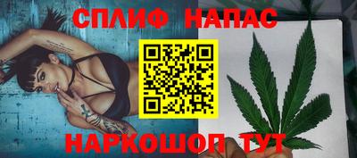 МДПВ Будённовск