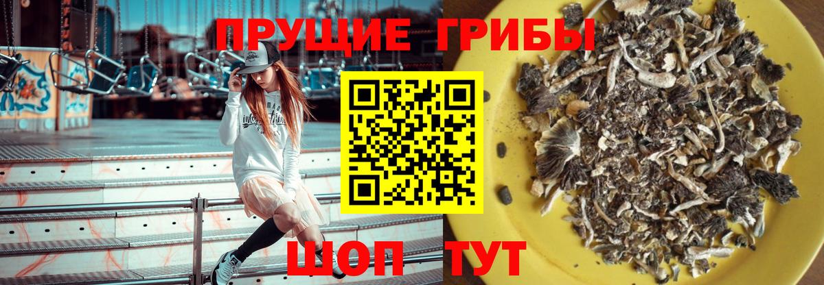 Галлюциногенные грибы Magic Shrooms  Вход с VPN  Саянск 