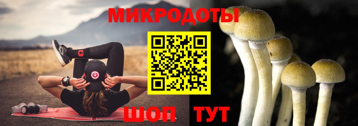 Псилоцибиновые грибы мухоморы Саянск